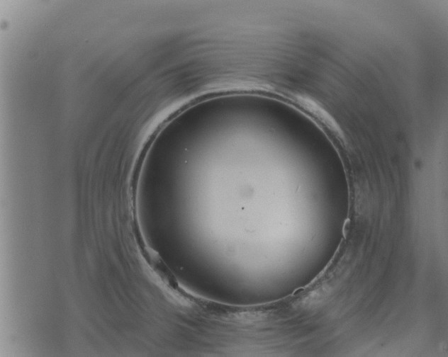 X0000074941380200609081340