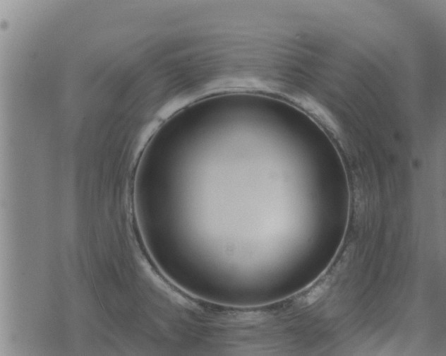 X0000074941382200609081340