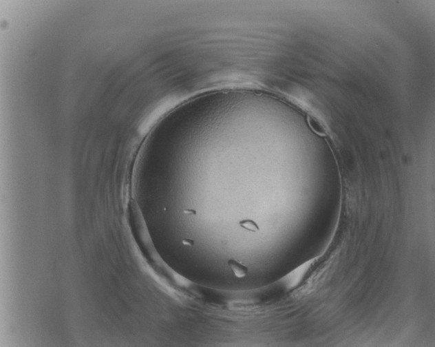 X0000074941383200609081340