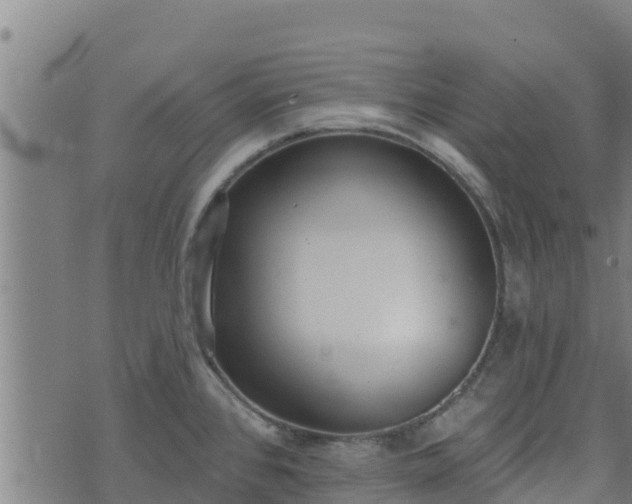 X0000074941384200609081340