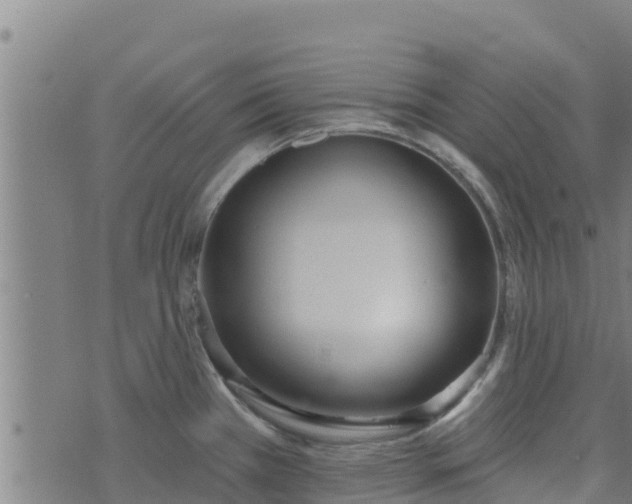 X0000074941385200609081340