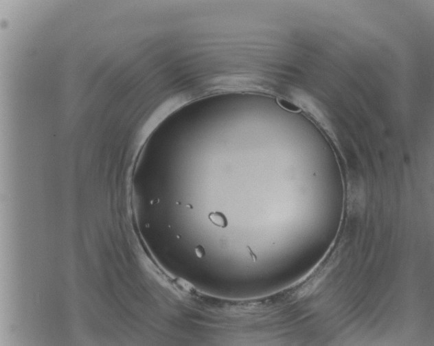 X0000074941386200609081340