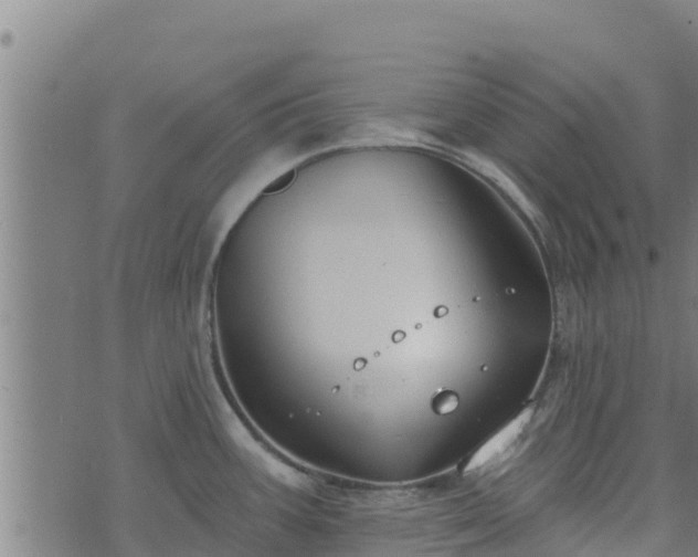 X0000074941387200609081340