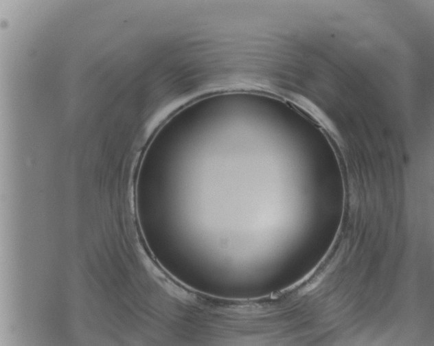 X0000074941388200609081340