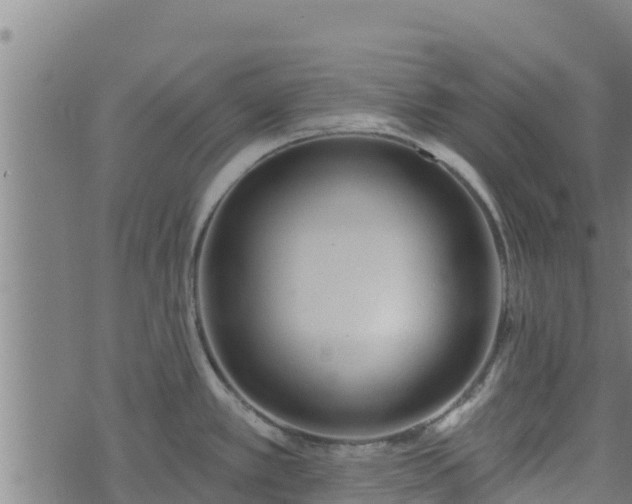 X0000074941389200609081340