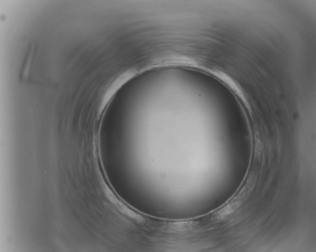 X0000074941390200609081340