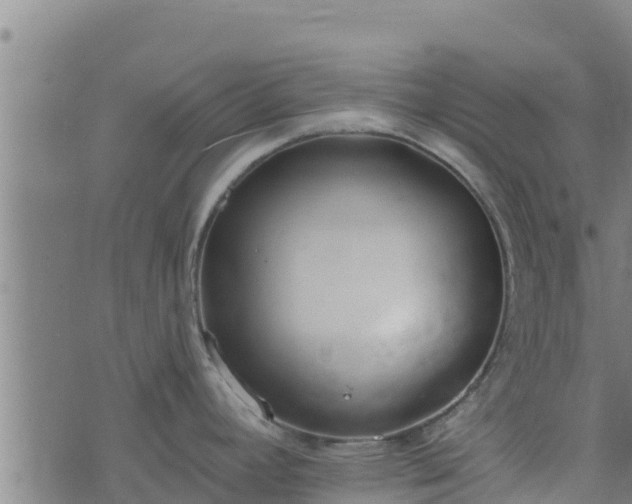 X0000074941392200609081340