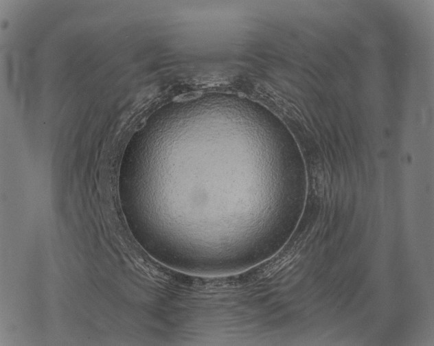 X0000074941393200609081339