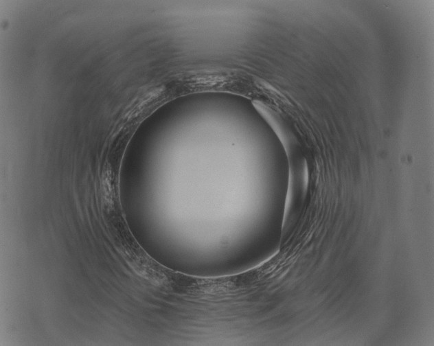 X0000074941394200609081339