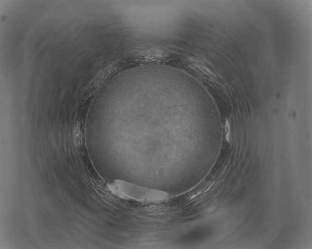 X0000074941395200609081339