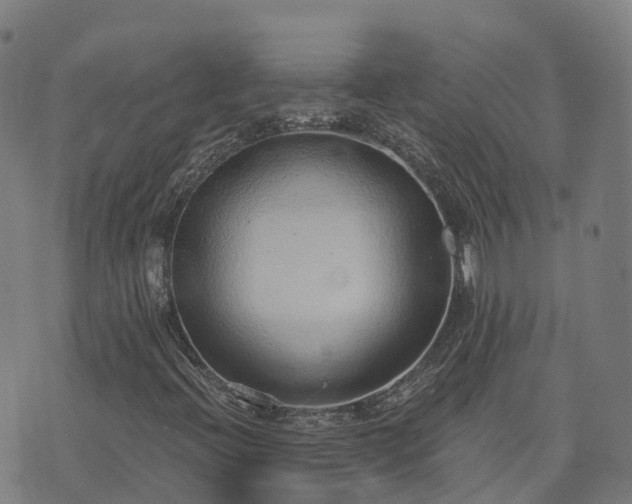 X0000074941396200609081339