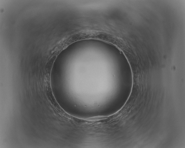 X0000074941397200609081339