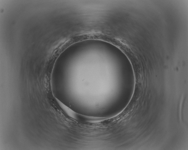 X0000074941398200609081339