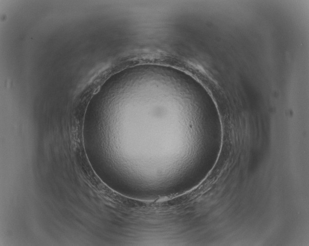 X0000074941399200609081339