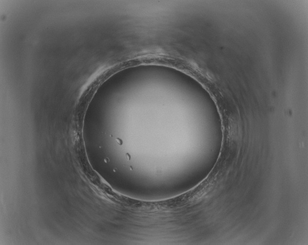 X0000074941400200609081339