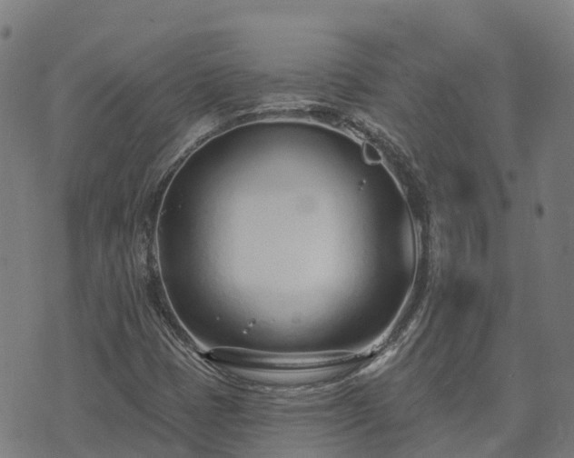 X0000074941401200609081339