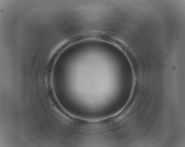 X0000074941402200609081339