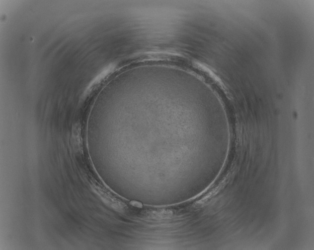 X0000074941403200609081339