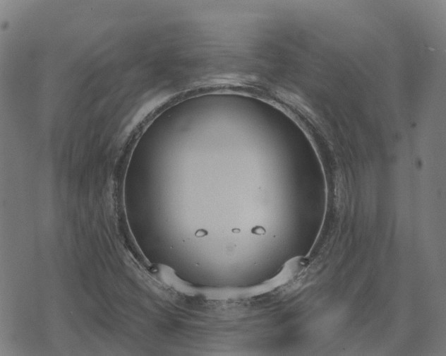 X0000074941404200609081339