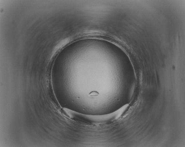 X0000074941405200609081339