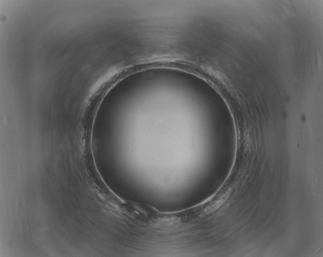 X0000074941406200609081339