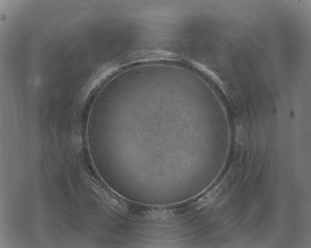 X0000074941407200609081339