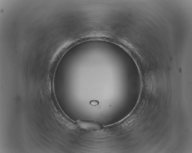 X0000074941408200609081339