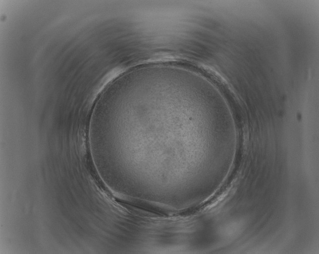 X0000074941409200609081339