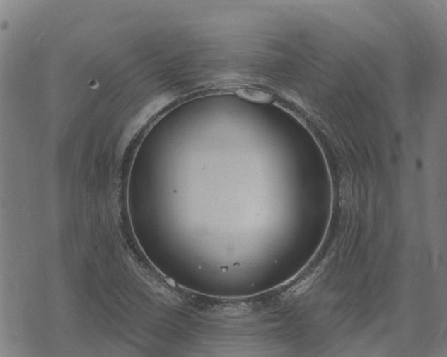 X0000074941410200609081339