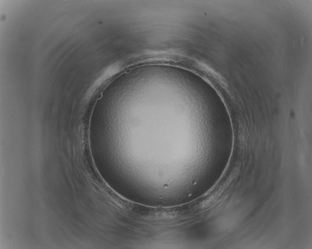 X0000074941411200609081339