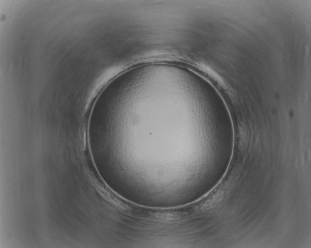 X0000074941413200609081339