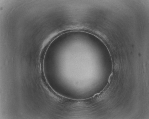 X0000074941414200609081339