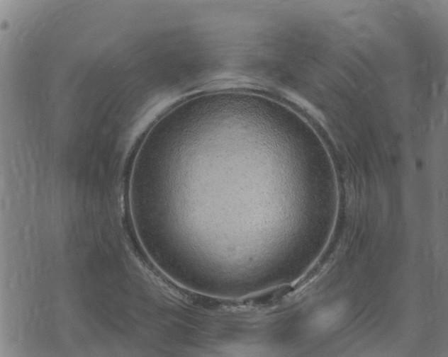 X0000074941415200609081339