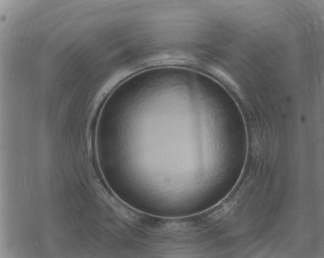 X0000074941419200609081339