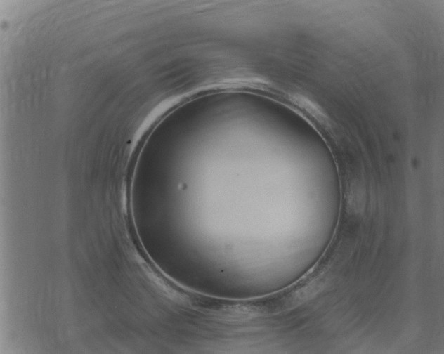 X0000074941420200609081339