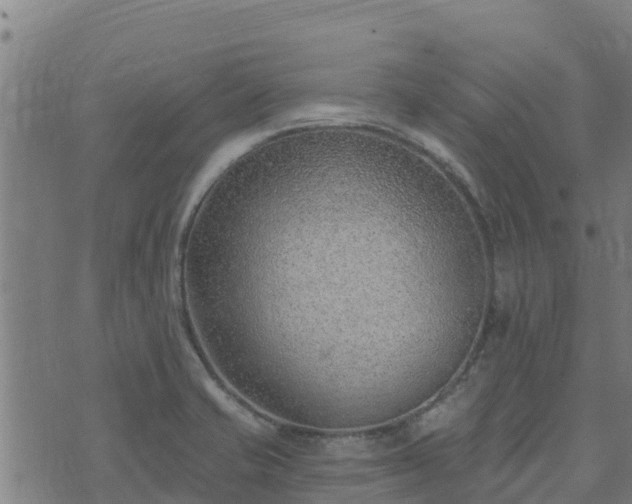 X0000074941421200609081339