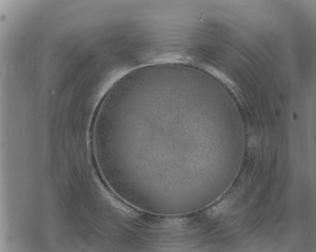 X0000074941423200609081339