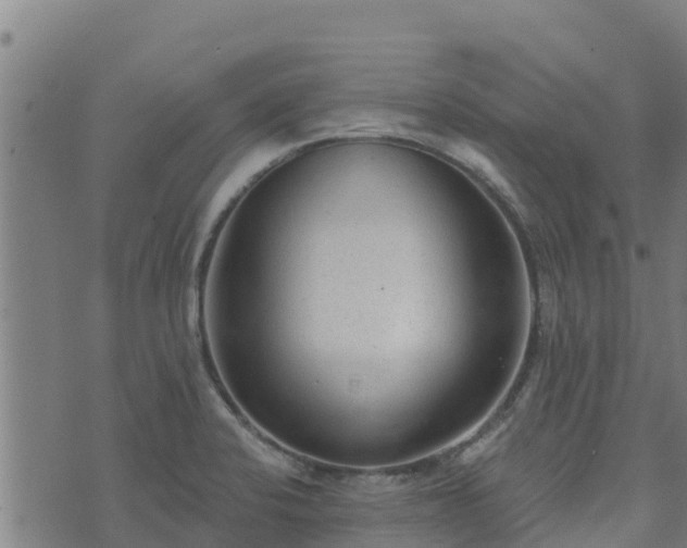 X0000074941424200609081339