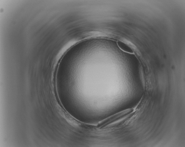 X0000074941427200609081340