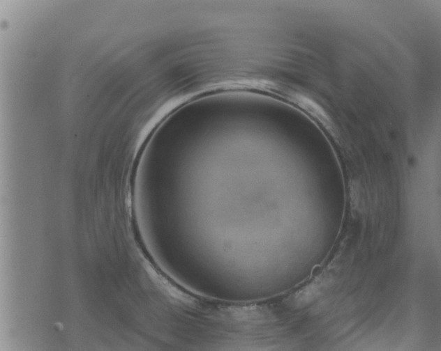 X0000074941428200609081340