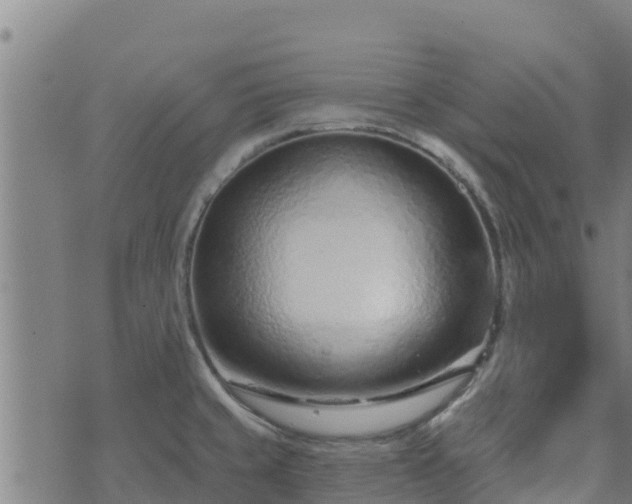 X0000074941429200609081340