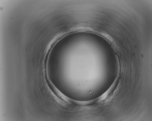 X0000074941430200609081340