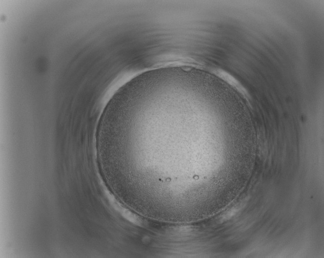 X0000074941431200609081340