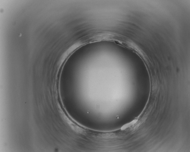 X0000074941434200609081340