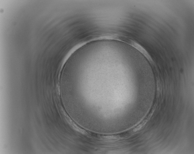 X0000074941436200609081340