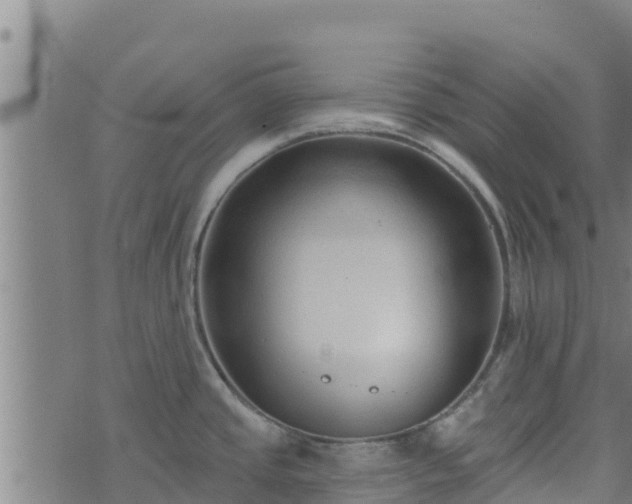 X0000074941437200609081340