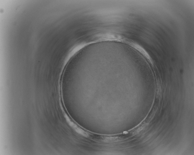 X0000074941439200609081340