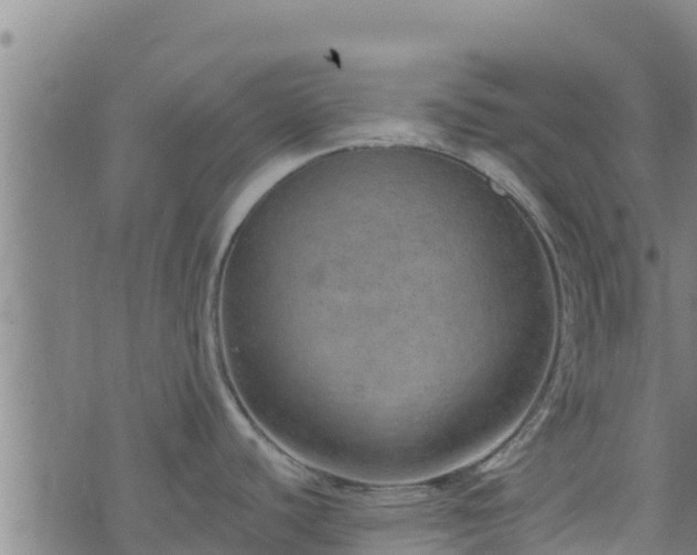 X0000074941440200609081340