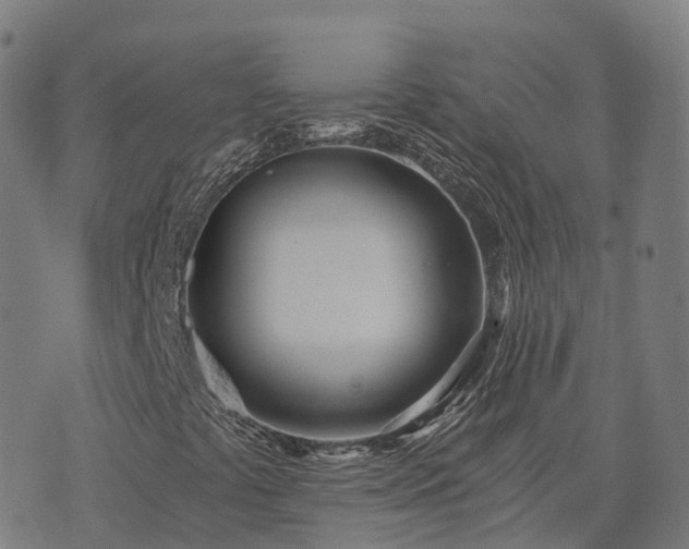 X0000074941441200609081339