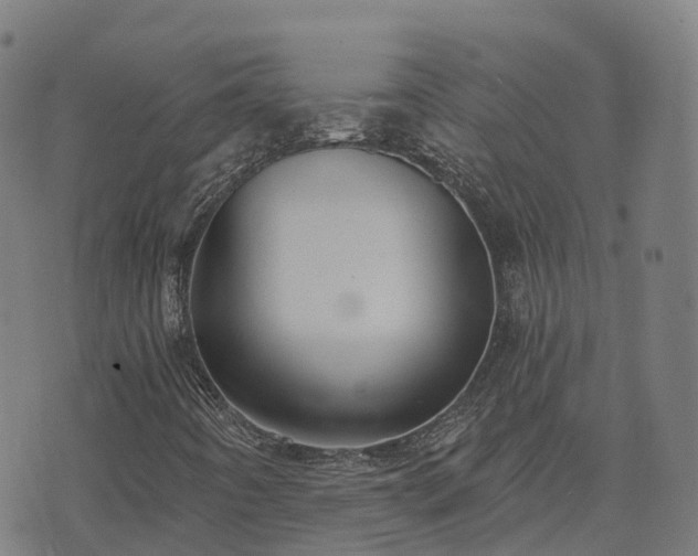 X0000074941442200609081339